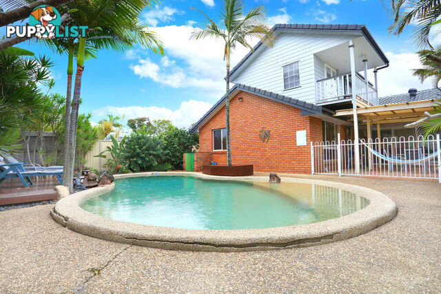 157 Paradise Parade HOLLYWELL QLD 4216