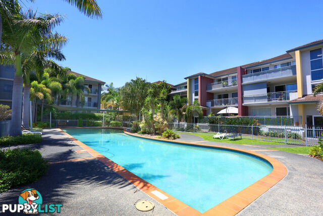 9/33 Clark Street BIGGERA WATERS QLD 4216