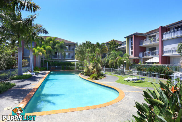 9/33 Clark Street BIGGERA WATERS QLD 4216