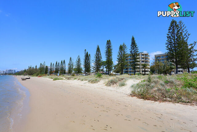 8/484-488 Marine Parade BIGGERA WATERS QLD 4216