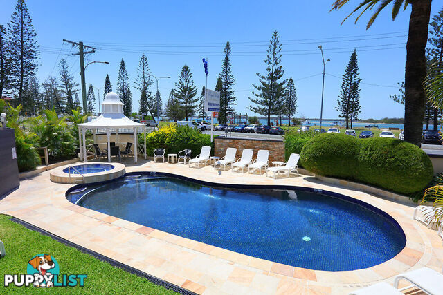 8/484-488 Marine Parade BIGGERA WATERS QLD 4216