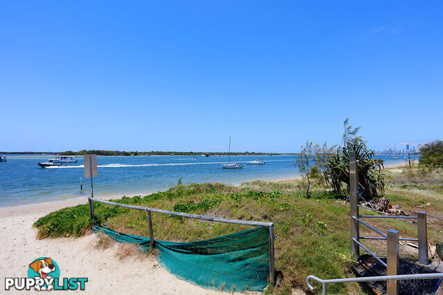 8/484-488 Marine Parade BIGGERA WATERS QLD 4216