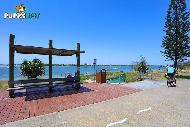 8/484-488 Marine Parade BIGGERA WATERS QLD 4216