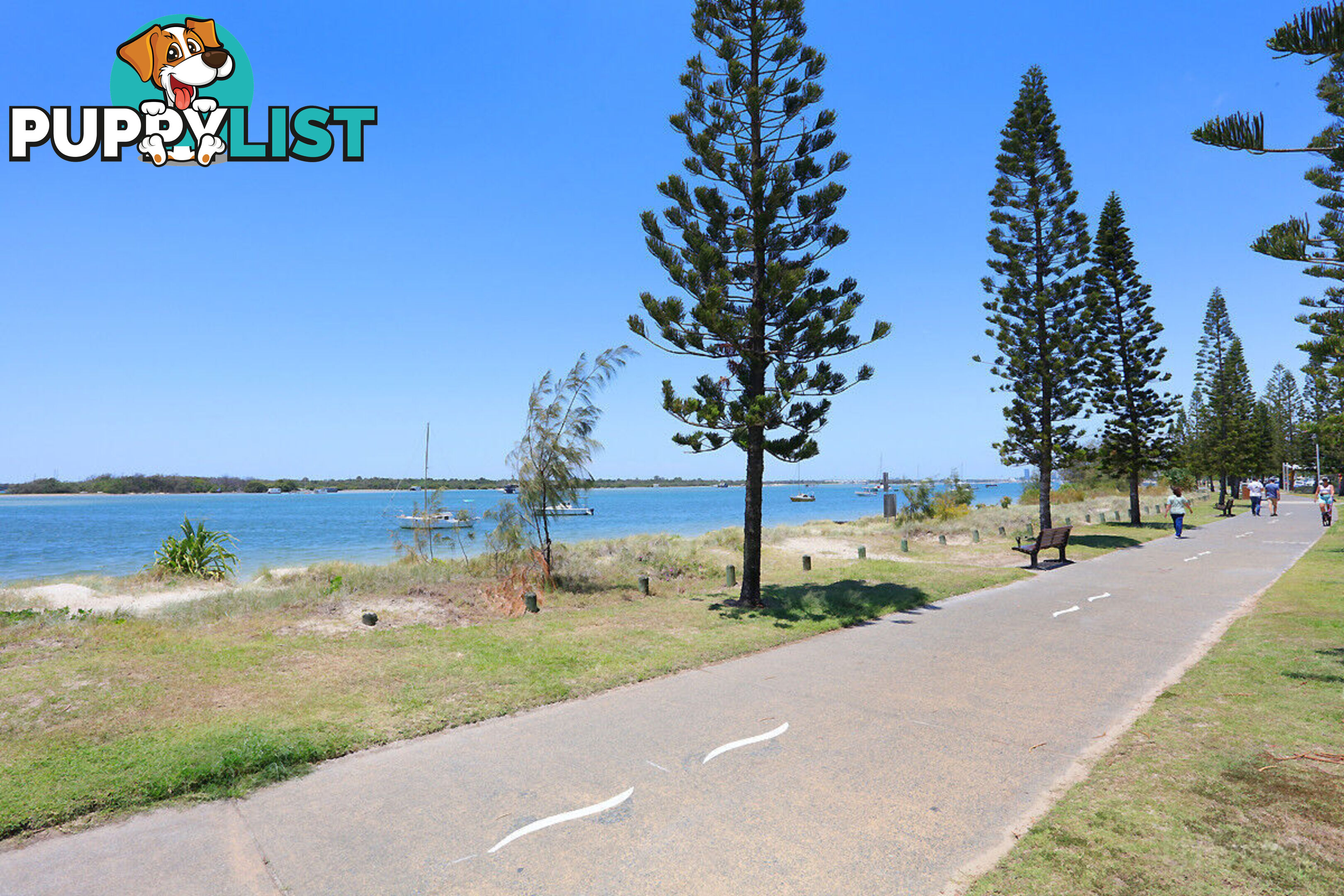 8/484-488 Marine Parade BIGGERA WATERS QLD 4216