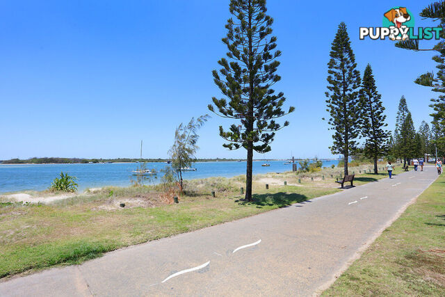 8/484-488 Marine Parade BIGGERA WATERS QLD 4216