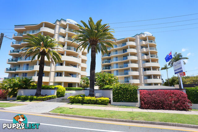 8/484-488 Marine Parade BIGGERA WATERS QLD 4216