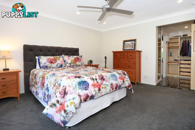 116 Columbus Drive HOLLYWELL QLD 4216