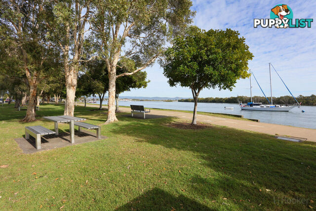 1/20 Killowill Avenue PARADISE POINT QLD 4216