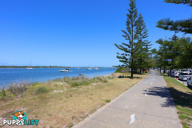 13/452 Marine Parade BIGGERA WATERS QLD 4216