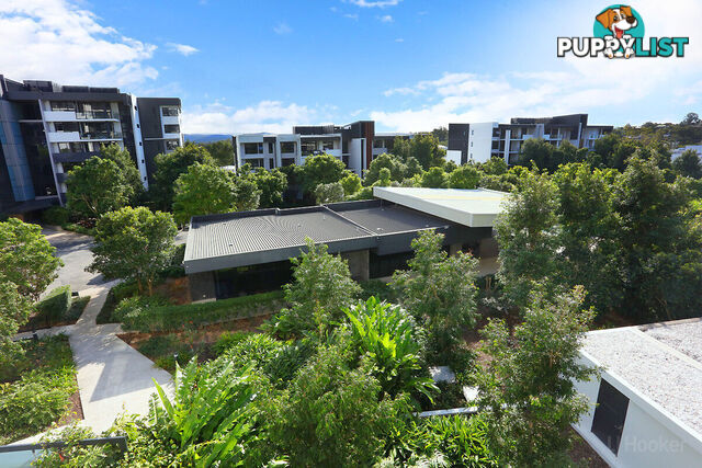 5034/21 Ross Street BENOWA QLD 4217