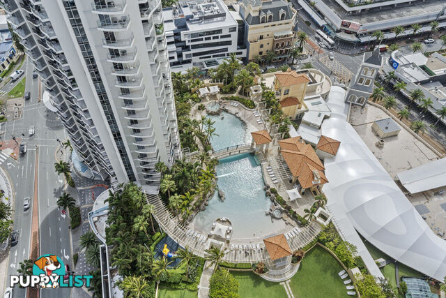 3323/23 Ferny Avenue SURFERS PARADISE QLD 4217
