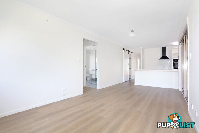 5 Thompson Street BIGGERA WATERS QLD 4216