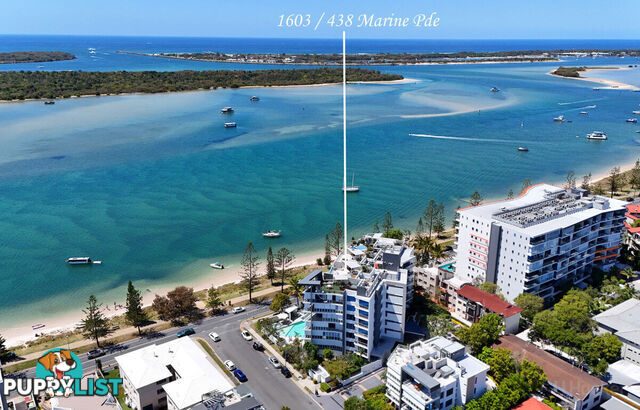 1603/438 Marine Parade BIGGERA WATERS QLD 4216