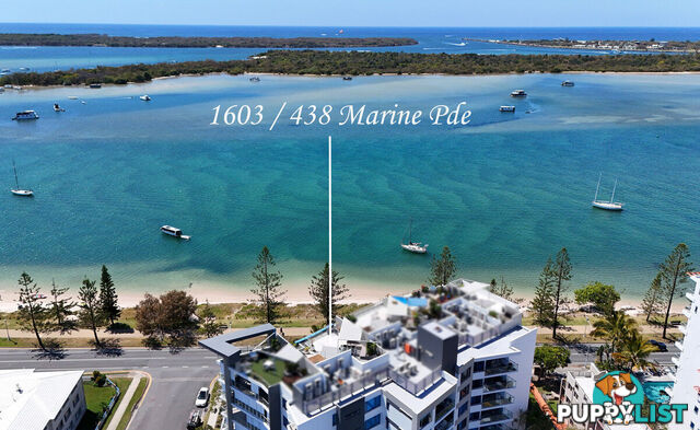 1603/438 Marine Parade BIGGERA WATERS QLD 4216