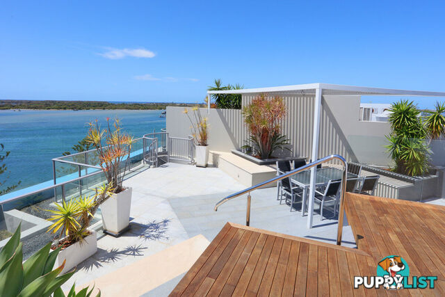 1603/438 Marine Parade BIGGERA WATERS QLD 4216