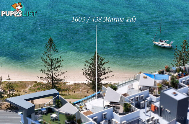 1603/438 Marine Parade BIGGERA WATERS QLD 4216