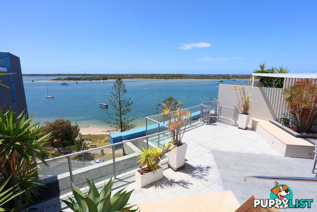 1603/438 Marine Parade BIGGERA WATERS QLD 4216