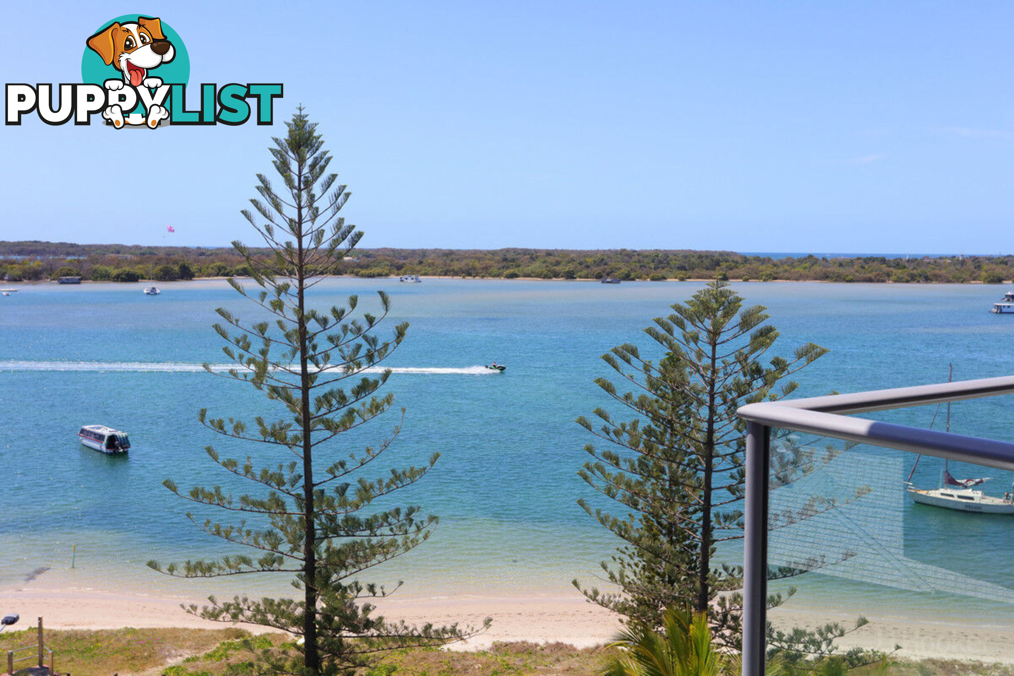 1603/438 Marine Parade BIGGERA WATERS QLD 4216