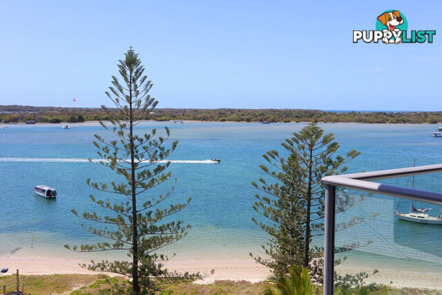 1603/438 Marine Parade BIGGERA WATERS QLD 4216