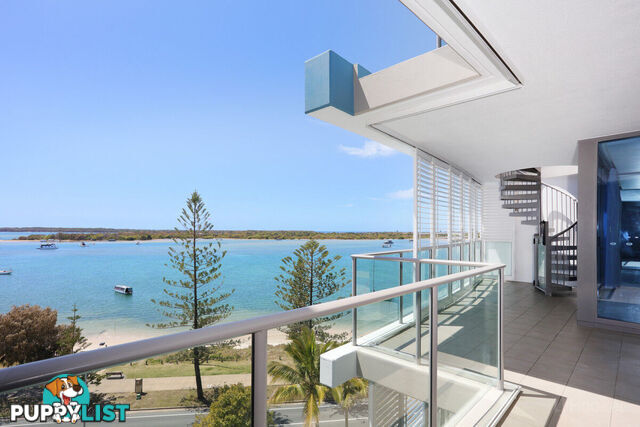 1603/438 Marine Parade BIGGERA WATERS QLD 4216