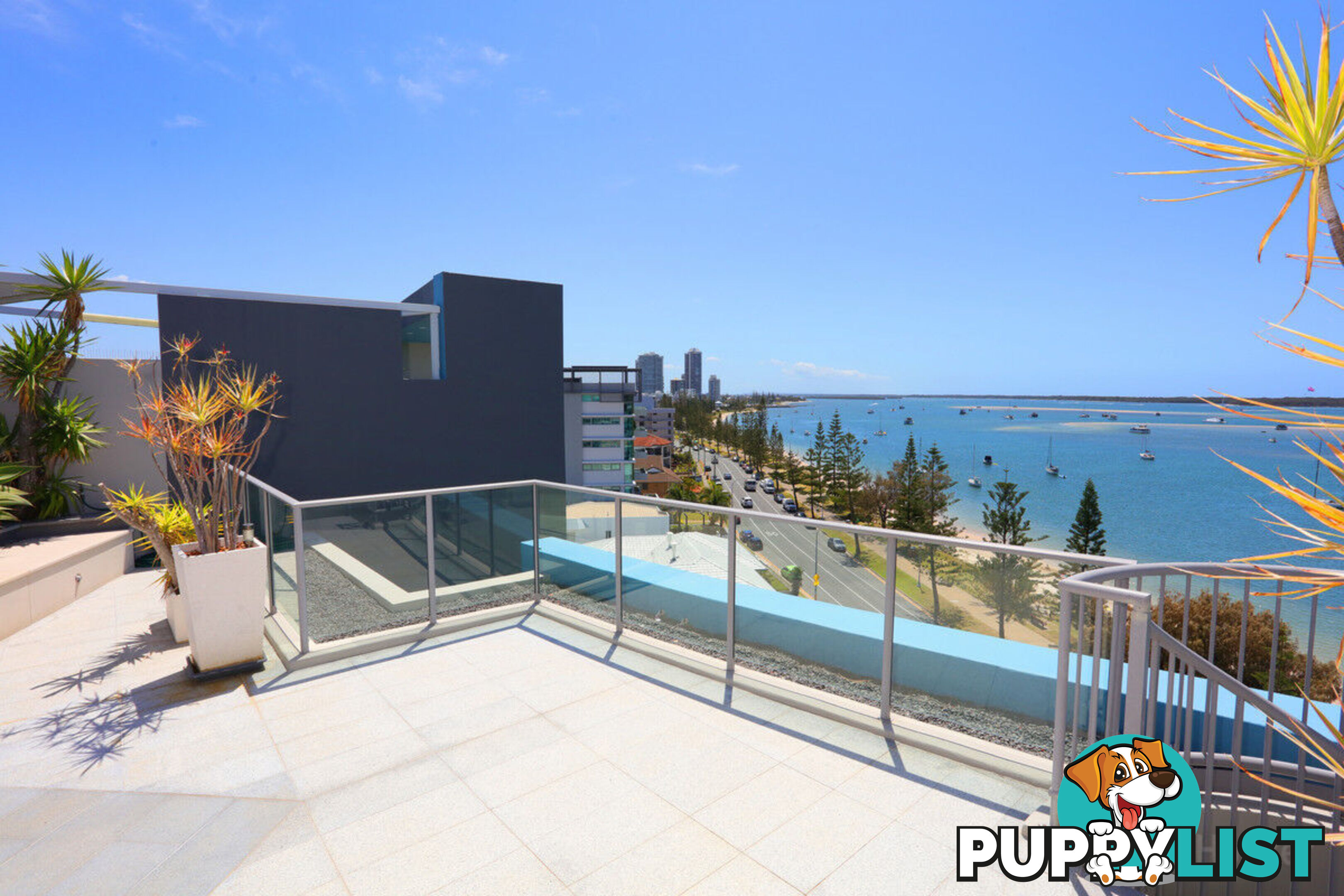 1603/438 Marine Parade BIGGERA WATERS QLD 4216