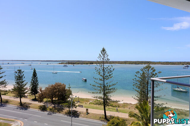 1603/438 Marine Parade BIGGERA WATERS QLD 4216