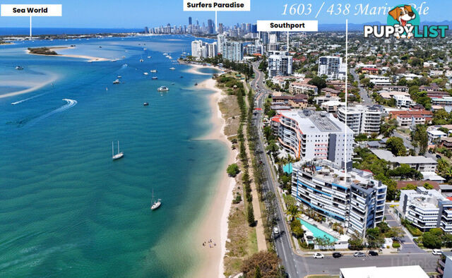 1603/438 Marine Parade BIGGERA WATERS QLD 4216