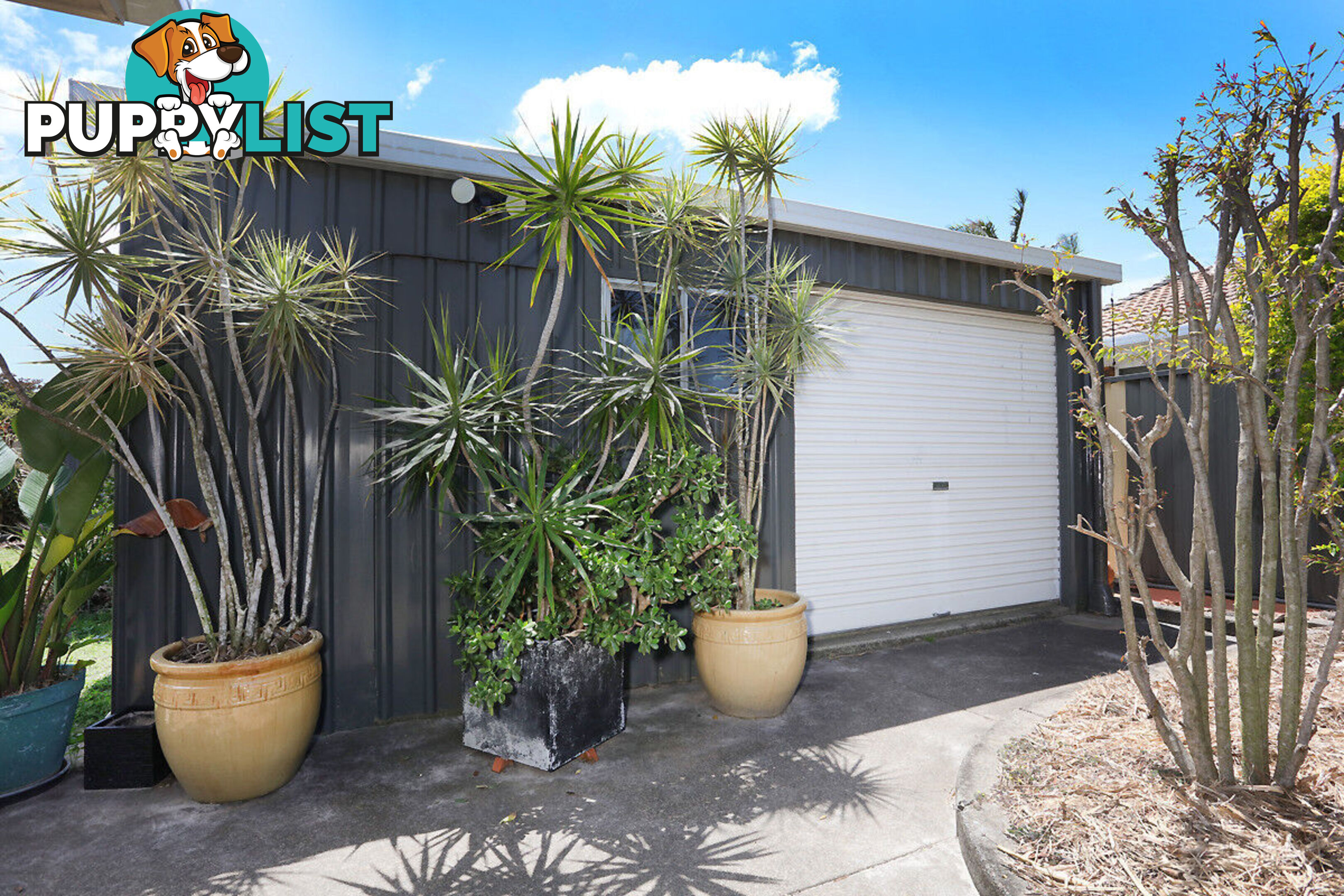 55 Matthew Flinders Drive PARADISE POINT QLD 4216