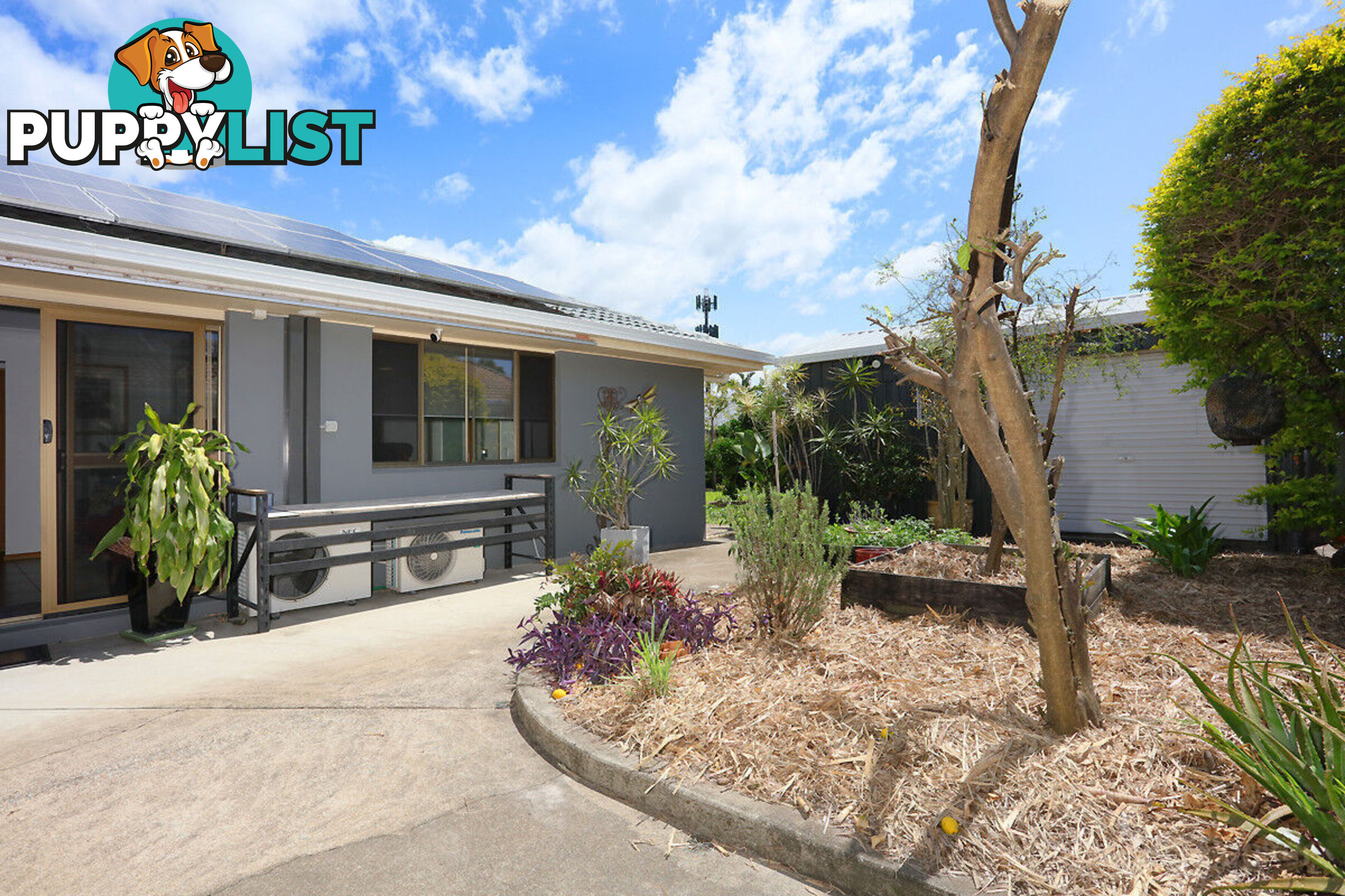 55 Matthew Flinders Drive PARADISE POINT QLD 4216