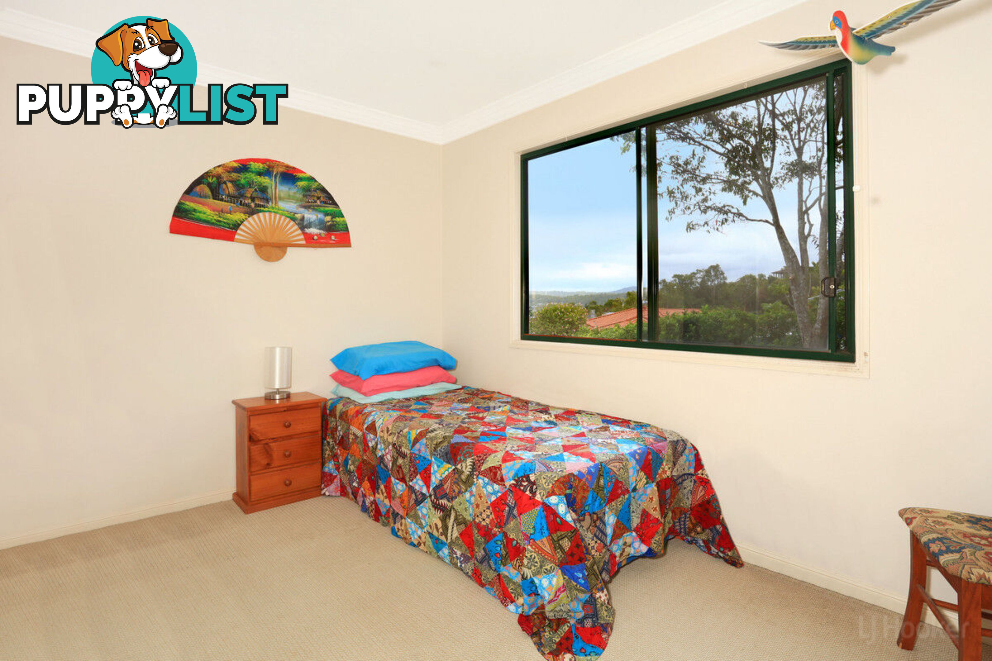 3 Pago Terrace PACIFIC PINES QLD 4211