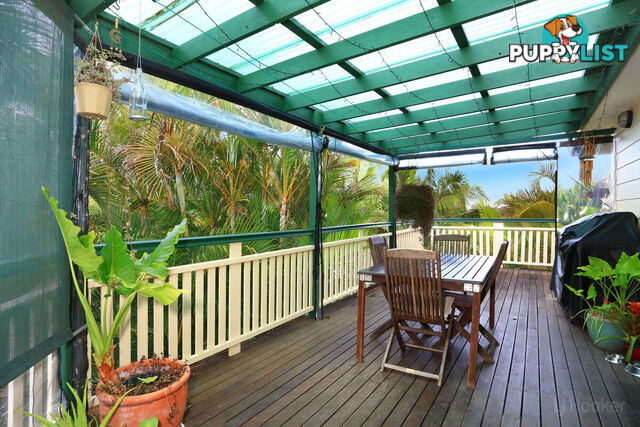 3 Pago Terrace PACIFIC PINES QLD 4211