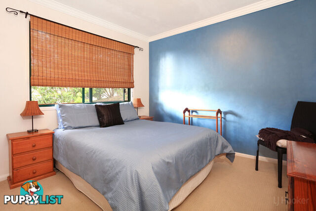 3 Pago Terrace PACIFIC PINES QLD 4211