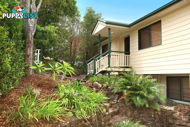 3 Pago Terrace PACIFIC PINES QLD 4211