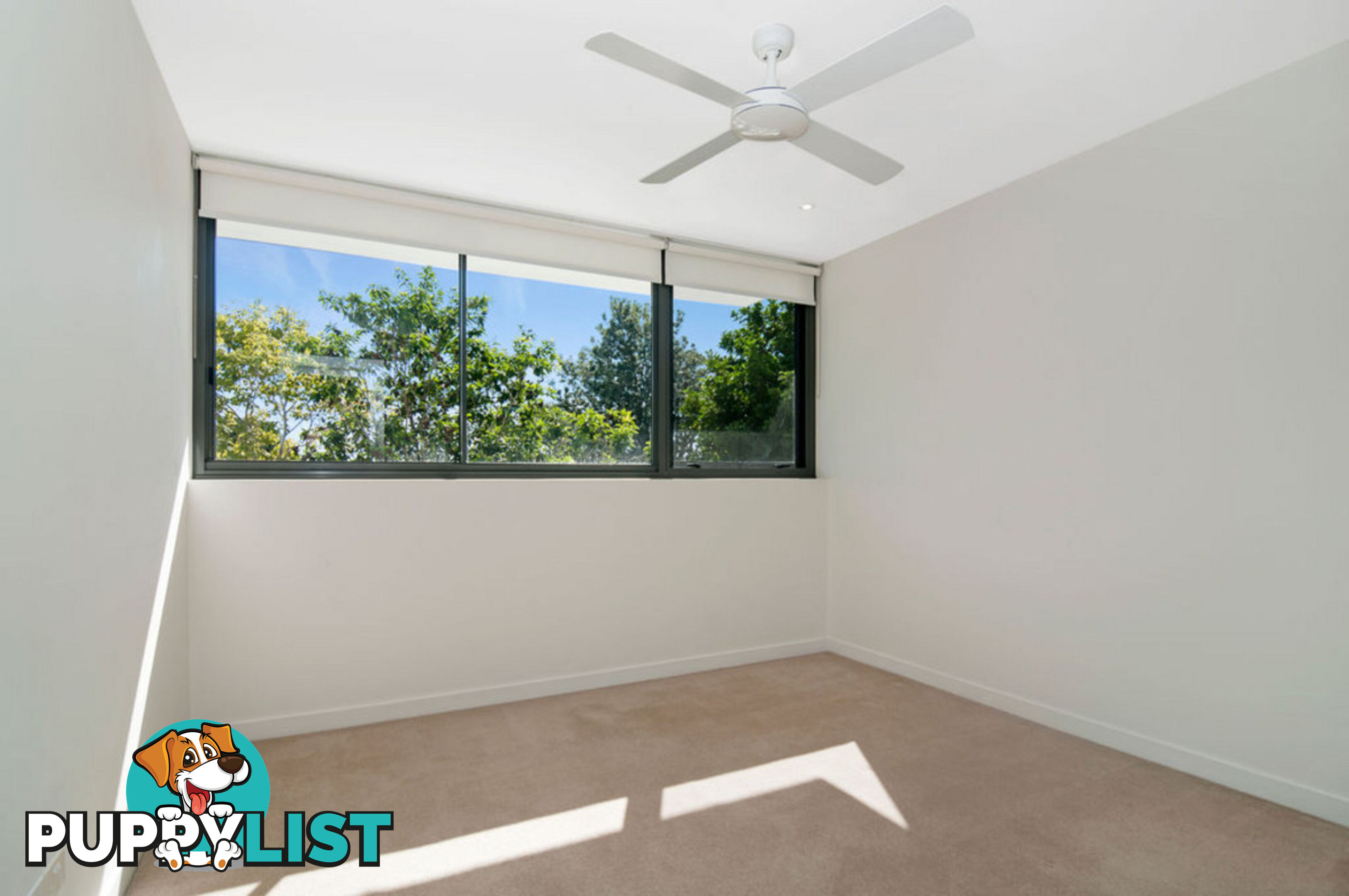 6204/323 Bayview St. HOLLYWELL QLD 4216