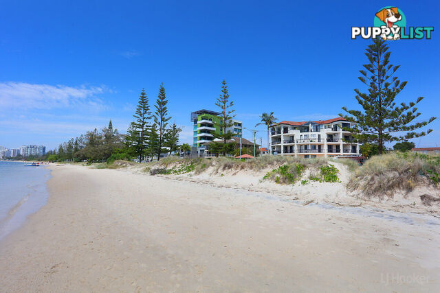 39/452 Marine Parade BIGGERA WATERS QLD 4216