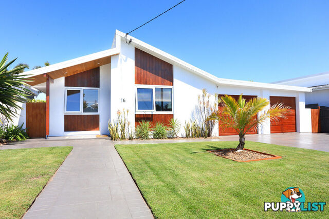 16 Robin Avenue PARADISE POINT QLD 4216