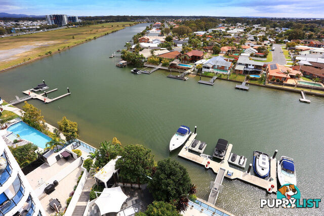 3901/5 Harbour Side BIGGERA WATERS QLD 4216