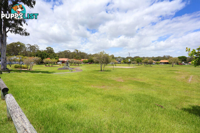 23 Renoir Drive COOMBABAH QLD 4216