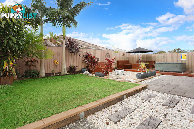 15 Collie Crescent ORMEAU HILLS QLD 4208