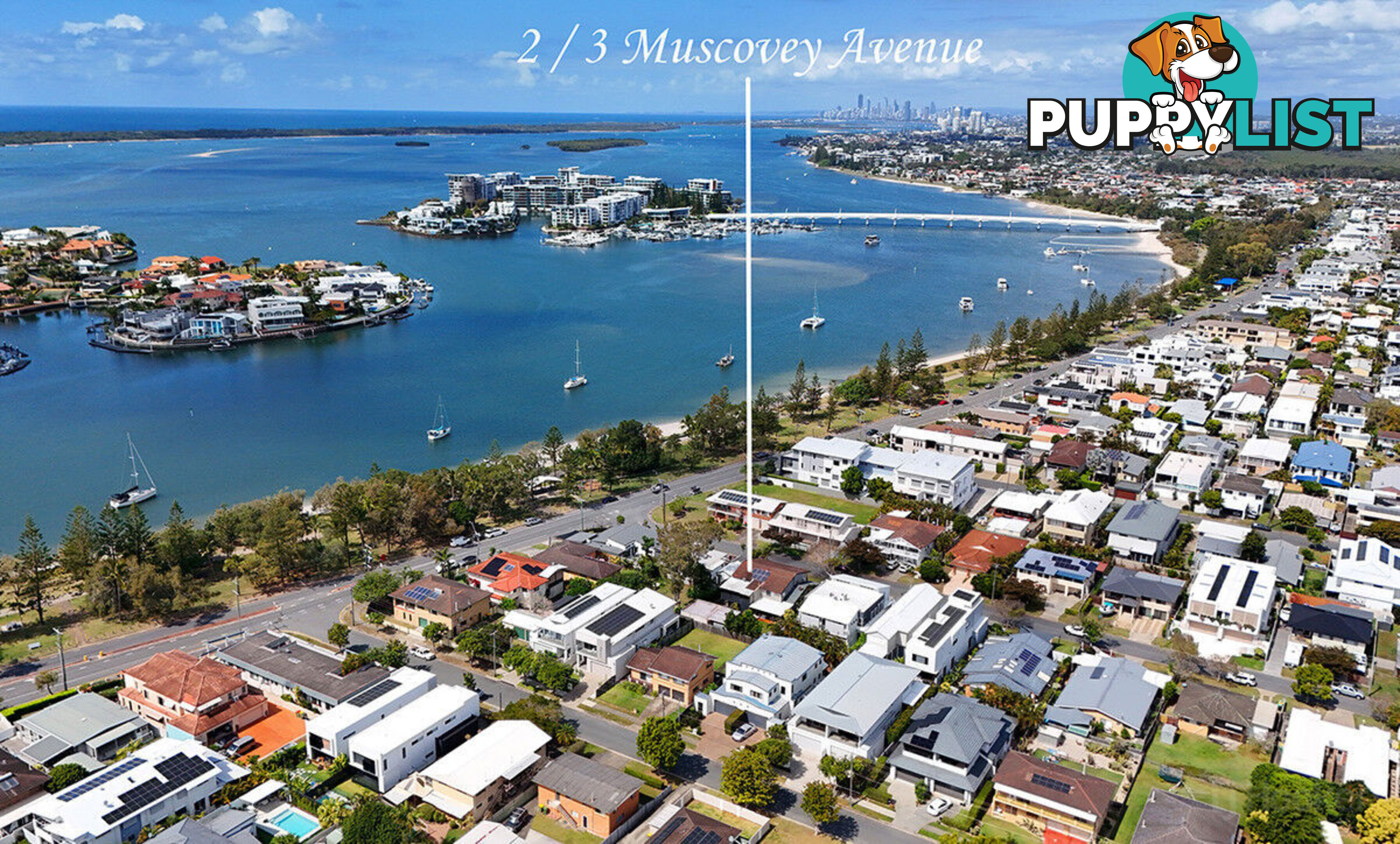 2/3 Muscovey Avenue PARADISE POINT QLD 4216