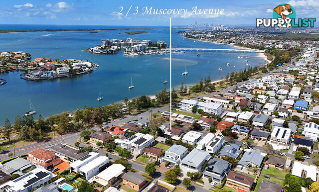 2/3 Muscovey Avenue PARADISE POINT QLD 4216