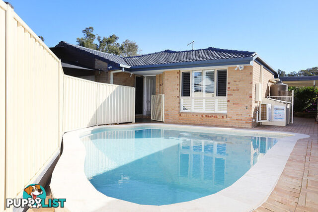 39 Numbat Court COOMBABAH QLD 4216