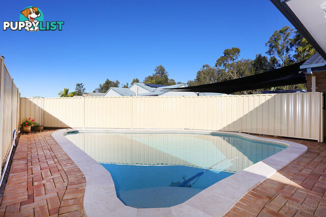 39 Numbat Court COOMBABAH QLD 4216