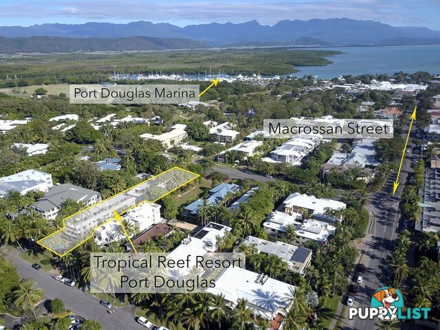 15 Tropical Reef/10 Davidson Street PORT DOUGLAS QLD 4877