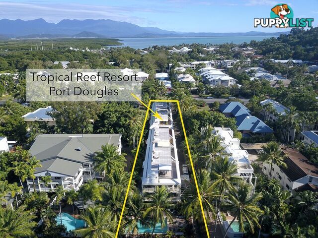 15 Tropical Reef/10 Davidson Street PORT DOUGLAS QLD 4877