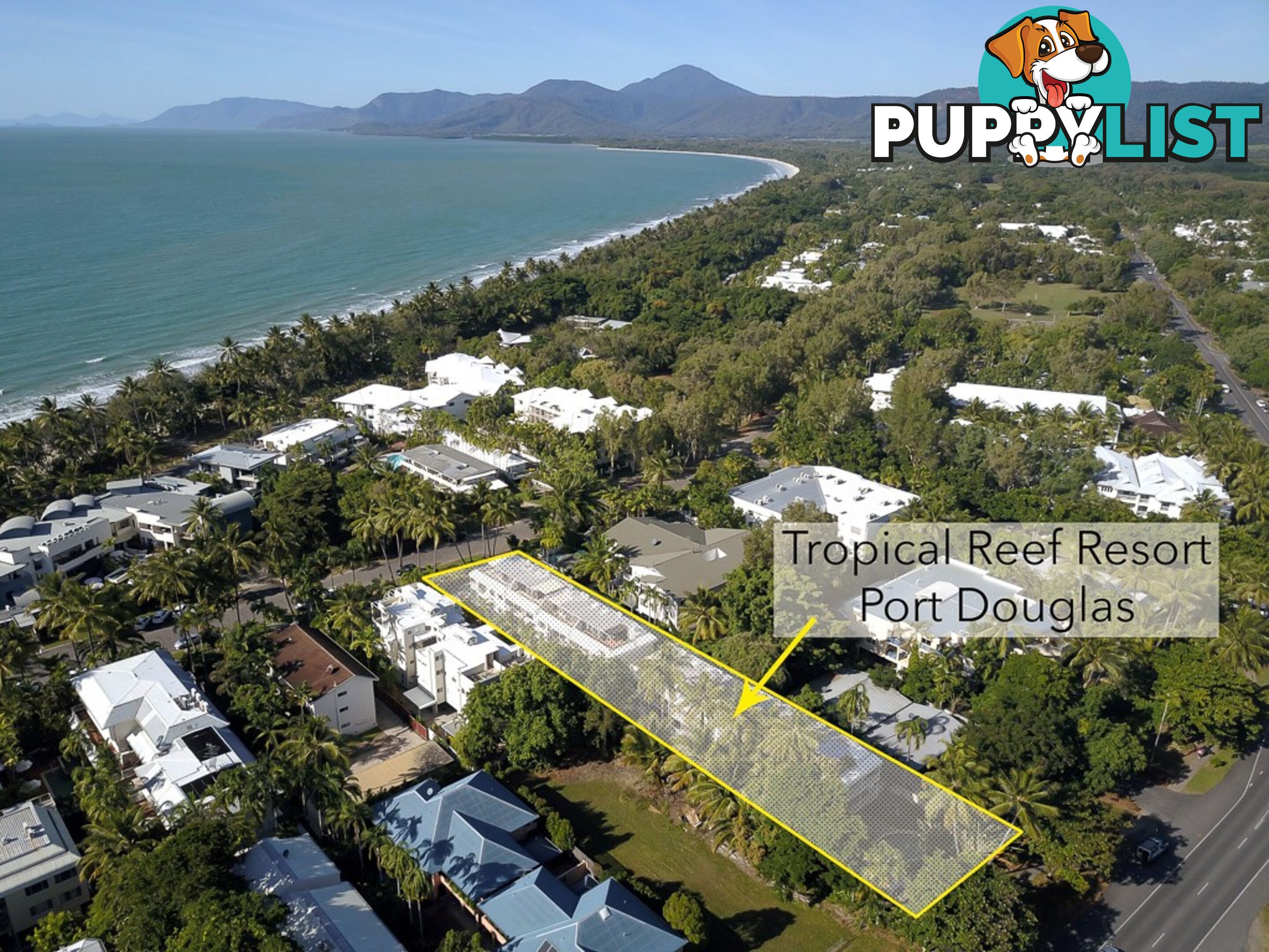 15 Tropical Reef/10 Davidson Street PORT DOUGLAS QLD 4877