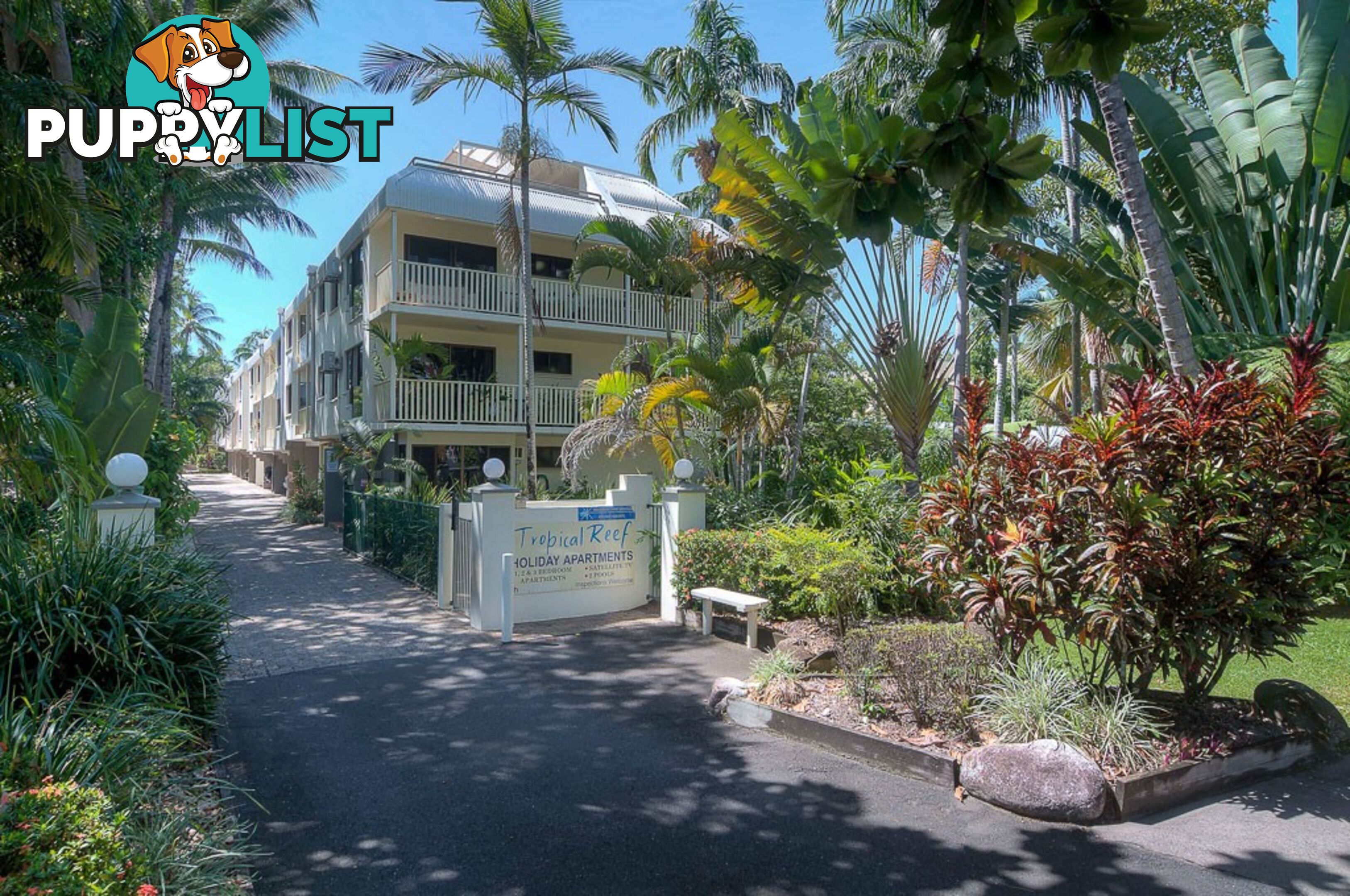 15 Tropical Reef/10 Davidson Street PORT DOUGLAS QLD 4877