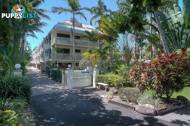 15 Tropical Reef/10 Davidson Street PORT DOUGLAS QLD 4877