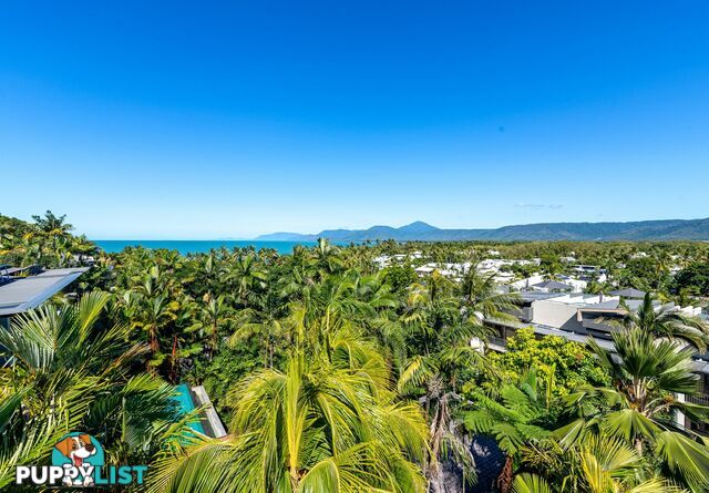 57 Murphy Street PORT DOUGLAS QLD 4877