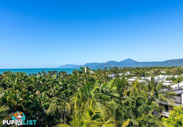 57 Murphy Street PORT DOUGLAS QLD 4877